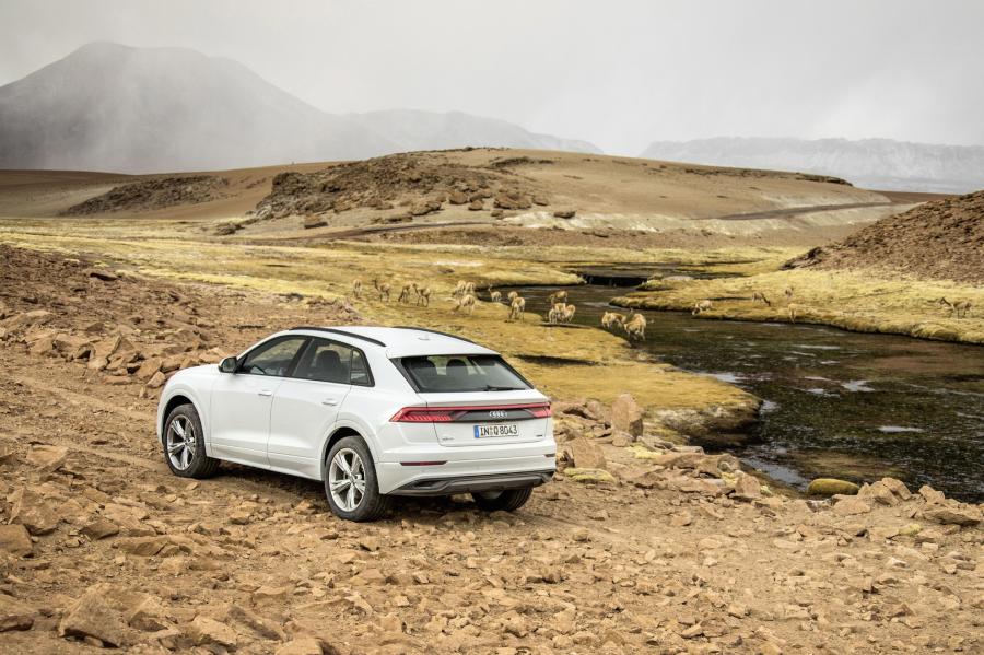  Audi Q8 55 TFSI Quattro 2018 года  (WW) (фото 25 из 42)
